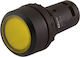 Xindali Μπουτόν Κίτρινο SB7-CW3561 022-400303503