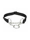 Trixie Premium Πνίχτης Σκύλου Νάιλον M-L 35-50εκ./20χιλ. Large / Medium (Διάφορα Χρώματα)