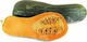 Seed Pumpkin Long 4,5gr- Variety with elongated fruit and orange flesh