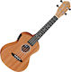 Ortega RFU11SE Concert Ukulele