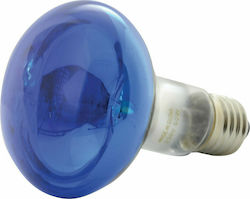 QTX Sound R80-B Λάμπα Επαγγελματικού Φωτισμού Coloured Reflector Blue 60W