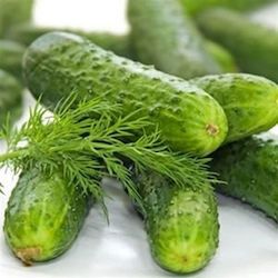Pickled cucumber seed 4gr, 12669