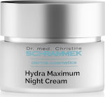 Schrammek Hydra Maximum Αnti-aging & Moisturizing Night Cream Suitable for All Skin Types with Hyaluronic Acid 50ml