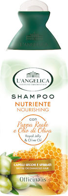 L' Angelica Nourishing Shampoos Feuchtigkeit für Beschädigt Haare 1x250ml