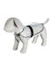 Trixie Tarbes Hundemantel Wasserdicht Transparent mit Rückenlänge 60 cm. 3007