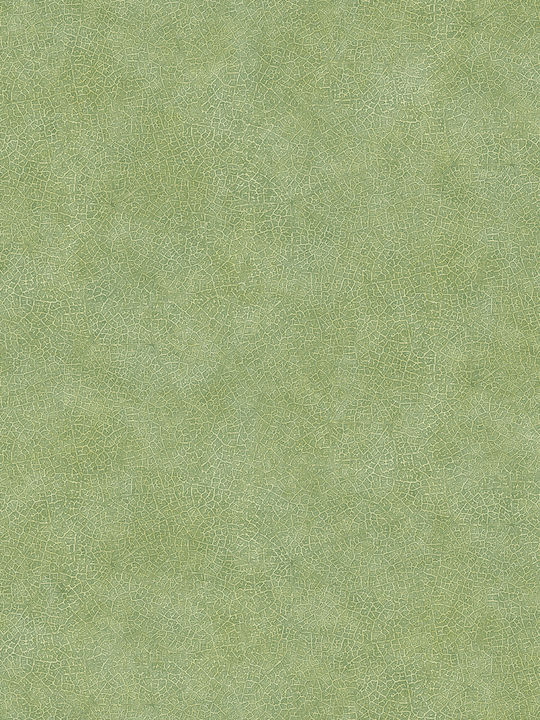 Wallpaper Evergreen L1005xW53cm Green