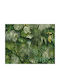 Wallpaper Greenery Tropical L1000xW53cm