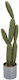 Plantă Artificială în Ghiveci Cactus Green 90.5cm Zaros
