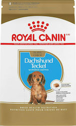 Royal Canin Puppy Dachshund Teckel 1.5kg Dry Food for Puppies of Small Breeds with Vegetables and Rice