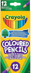 Crayola Coloured Seturi de creioane colorate 12buc 3620