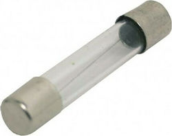 Eval Boat Glass Fuse 20A