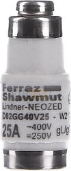 Siguranță 25A D02 400V AC 250V DC Ferraz Shawmut Neozed D02GG40V25