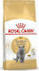 Royal Canin British Shorthair Adult Dry Food for Adult Cats with Corn 4kg