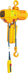 Maestro DHS-1A Electric Hoist for Load Up to 1 Ton