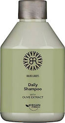Bulbs & Roots Daily 300ml