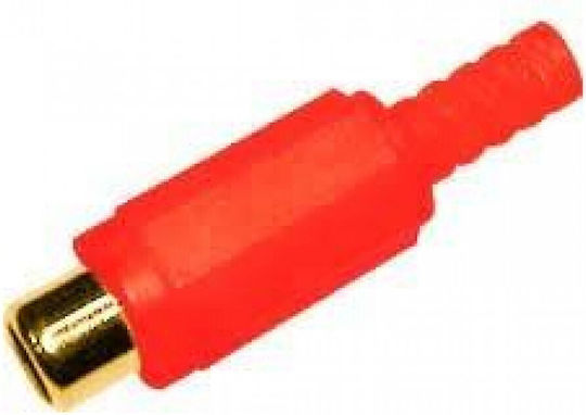 Ultimax RJ228G Plug RCA female Red (01.099.0046)