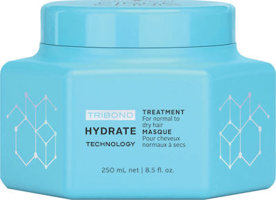 Schwarzkopf Fibre Clinix Hydrate Haarmaske für Hydratation 250ml