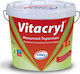 Vitex Vitacryl Elastomer Acrilyc Insulating Sealing 10lt Red