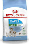 Royal Canin Starter Mother & Babydog Mini 1kg Ξηρά Τροφή για Κουτάβια Μικρόσωμων Φυλών με Καλαμπόκι, Πουλερικά και Ρύζι