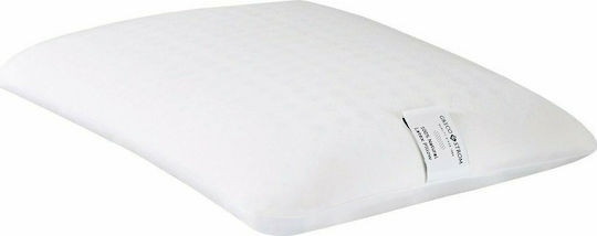 Greco Strom Natürlicher Latex Kopfkissen 40x60x12cm Greco Strom Natürlicher Latex Kopfkissen 40x60x12cm