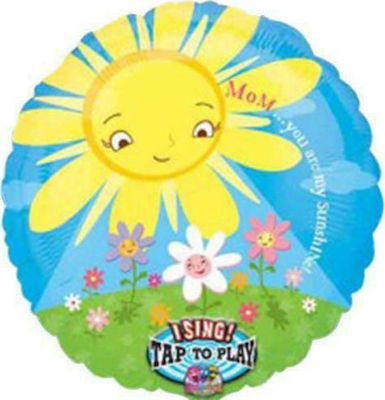 Ballon Folie Rund Mehrfarbig 45cm