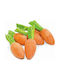 Happypet Carrot Nibblers Nagetier Spielzeug 6 Stk