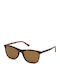 Gant Sunglasses with Brown Tartaruga Plastic Frame and Brown Polarized Lens GA7126 52H