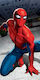 Dimcol Spider-Man Kinder-Strandtuch Rot Spiderman 140x70cm 2123713505201899