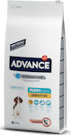 Affinity Advance Sensitive Puppy 12kg Ξηρά Τροφή για Κουτάβια με Σολομό