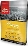 Orijen Puppy 6kg Dry Food Grain-Free for Puppies with Turkey and Chicken