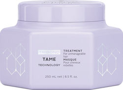 Schwarzkopf Fibre Clinix Tame Treatment Haarmaske für Reparatur 250ml