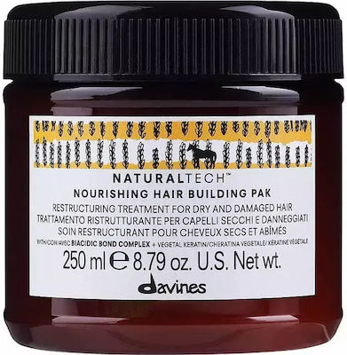 Davines Nourishing Hair Building Pak Haarmaske für Hydratation 250ml