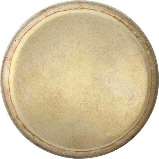 Stagg Head for BW-100 Bongo Drum Δέρμα κάσας για Bongos 7.5"