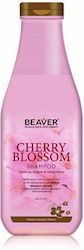 Beaver Cherry Blossom