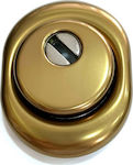 Disec Defender Lock Armoured Door Bronze