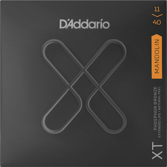 Daddario Phosphor Bronze Strings Set 11 - 40 Inches for Mandolin XT Mandolin Set Medium XTM1140