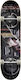 Zoo York Boom Box Complete Shortboard 7.87" Multicolour