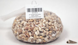 Dekoratives Element Für Hochzeitsgeschenkmaterialien Beiges Dekoratives Muscheln Klein Nr14 0,5kg 1Stück