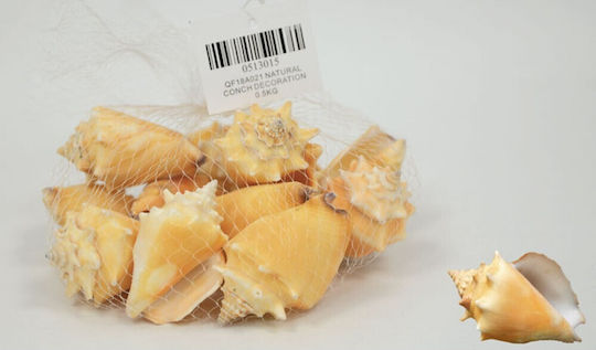 Faitakis Pack Decorative Element for Wedding Favors Beige Decorative Seashells Large No15 0.5kg 1pcs