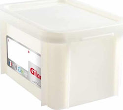 Gilac Container alimentar comercial Container de depozitare a alimentelor 15lt 40x30x23.5cm