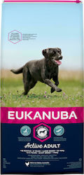 Eukanuba Active Adult Large Breed 15kg Hrană Uscată pentru Câini Adulți de Rase Mari cu Pui