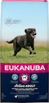 Eukanuba Active Adult Large Breed 15kg Dry Food for Adult Large Breed Dogs with Chicken