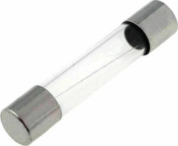 Tele Safety Cylindrical Glass 6x32mm 3A (FLG-3) 1pcs