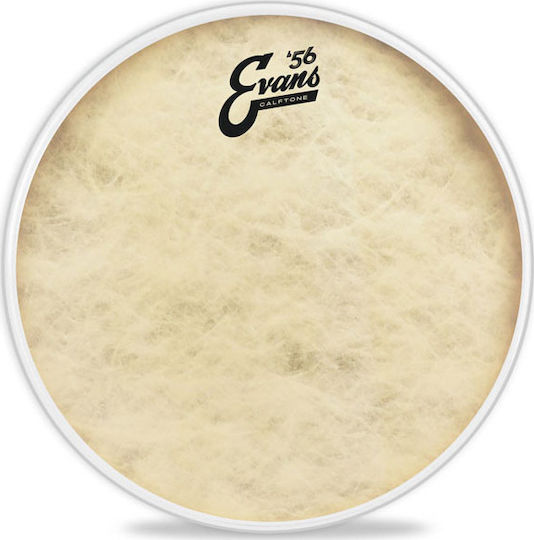 Evans TT14C7 Drumhead for Percussion 14"