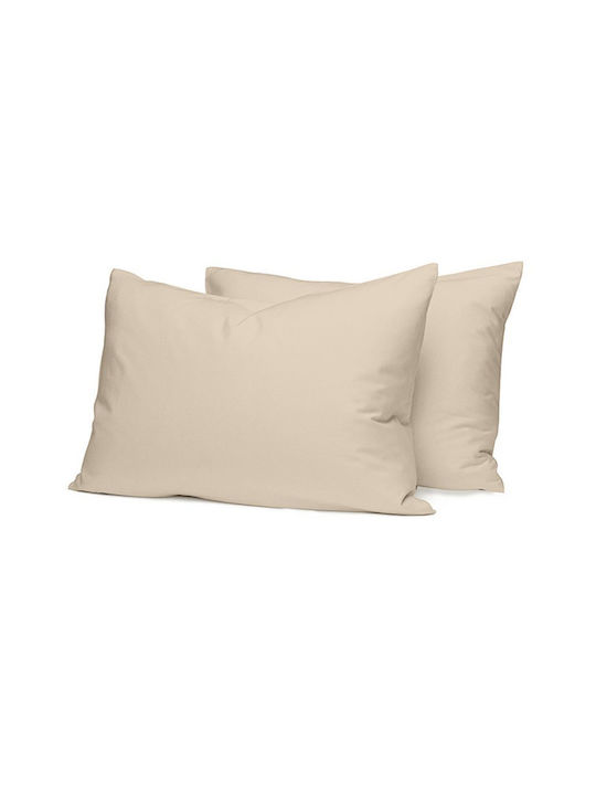 Sunshine Cotton Feelings Pillowcase Set with En...