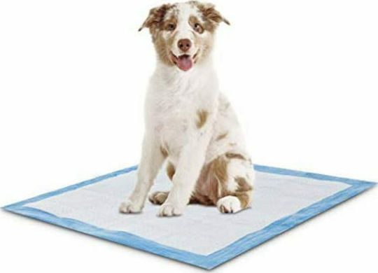 Nunbell Pet Επιδαπέδια Πάνα Σκύλου 60x60cm 10τμχ