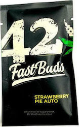 Fast Buds - Strawberry Pie auto - 5 seeds
