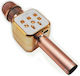 Wireless Karaoke Microphone LY-889 Rose Gold
