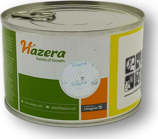 Hazera Seeds Pumpkinς Zucchini Ezra Hazera Seeds Pumpkinς Zucchini Ezra