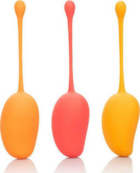 Calexotics Kegel Training Set Κολπικές Μπάλες Πορτοκαλί Calexotics Kegel Training Set Κολπικές Μπάλες Πορτοκαλί